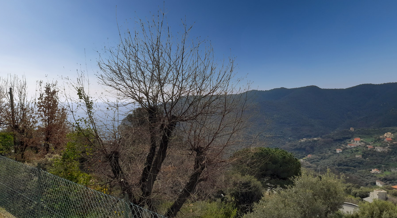 Dimora B5 + 232.3 M.s.l